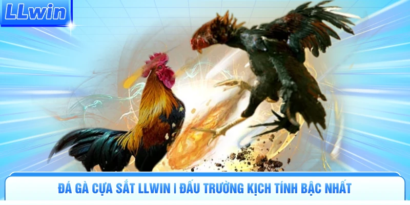 Đá Gà Cựa Sắt LLWIN | Đấu Trường Kịch Tính Bậc Nhất